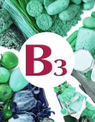        B3   